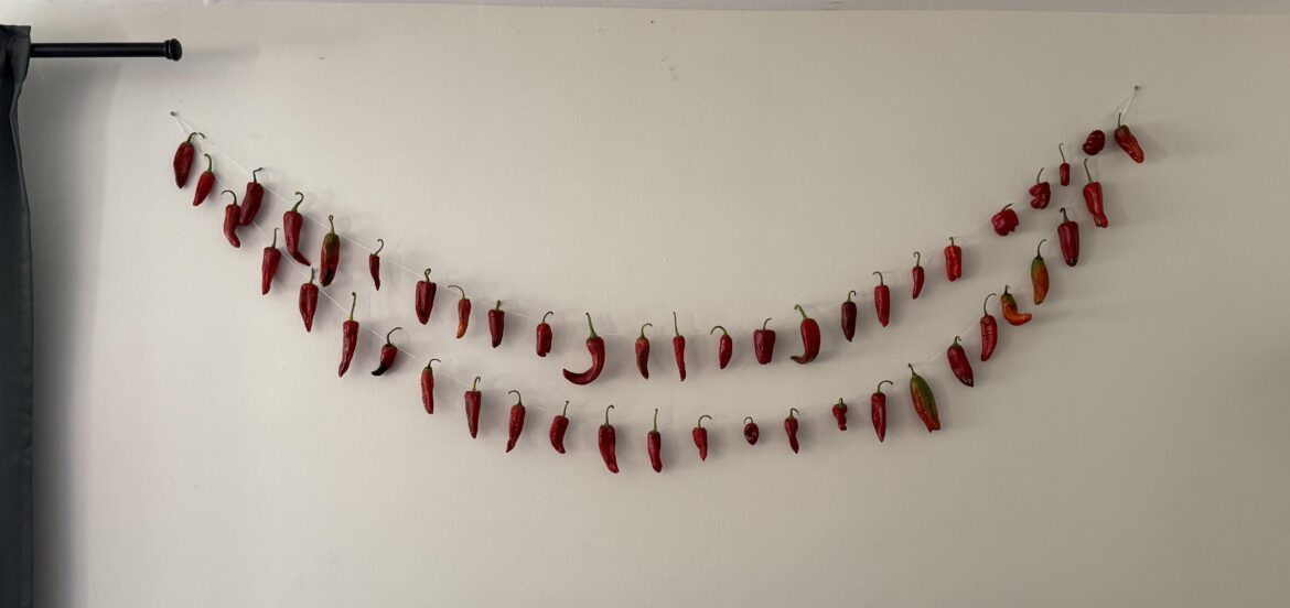 Hoping my wife approves of our new interior decoration I just made..