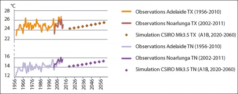 Illustration 2b - Observed and simulated evolution of minimum and maximum air temperature during the growing season, from 1956 to 2060, in McLaren Vale