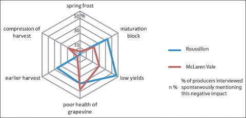 Illustration 4 - Percentage of producers spontaneously mentioning in interviews the following negative impacts of warmer temperatures and drought on berry maturation, in Roussillon and McLaren Vale