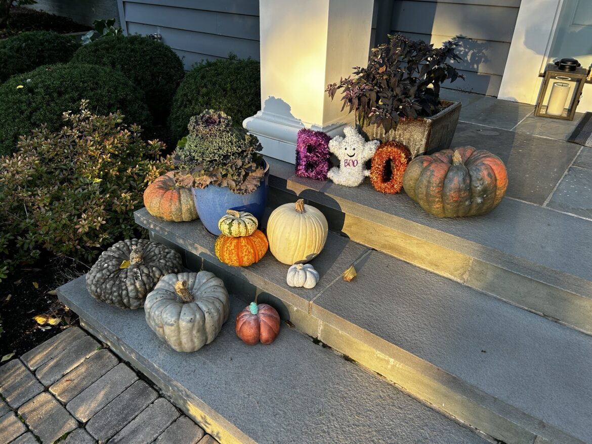 All treats, no tricks: What to cook for Halloween 2025 All treats, no tricks: What to cook for Halloween 2025