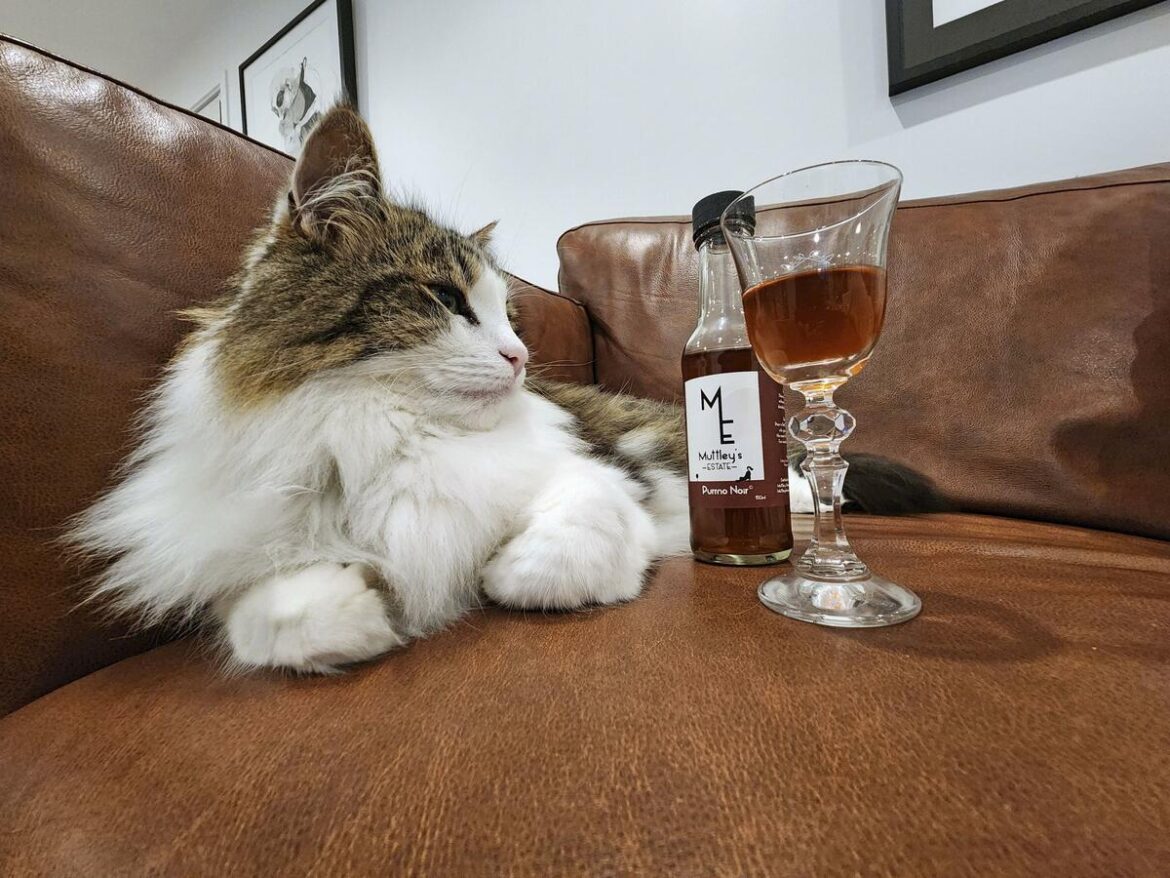 Pet-friendly wines for cats, dogs take off in New Zealand