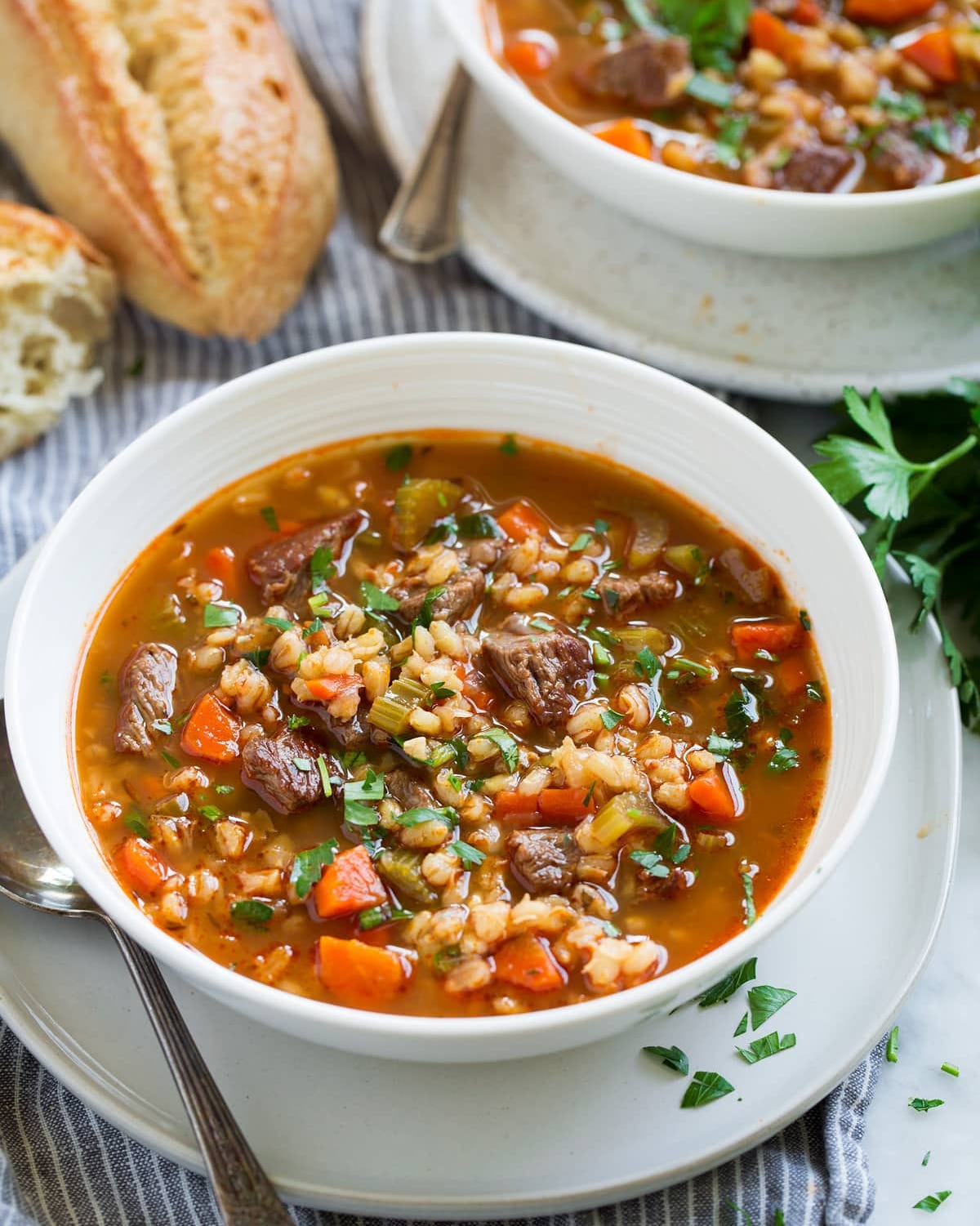 instant pot beef soup recipe instant pot beef soup recipe