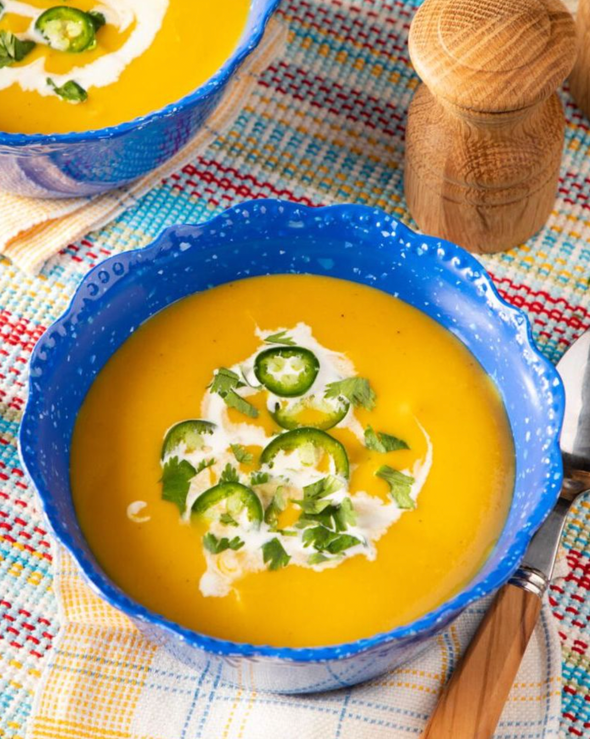 Instant Pot Butternut Squash Soup instant pot butternut squash soup
