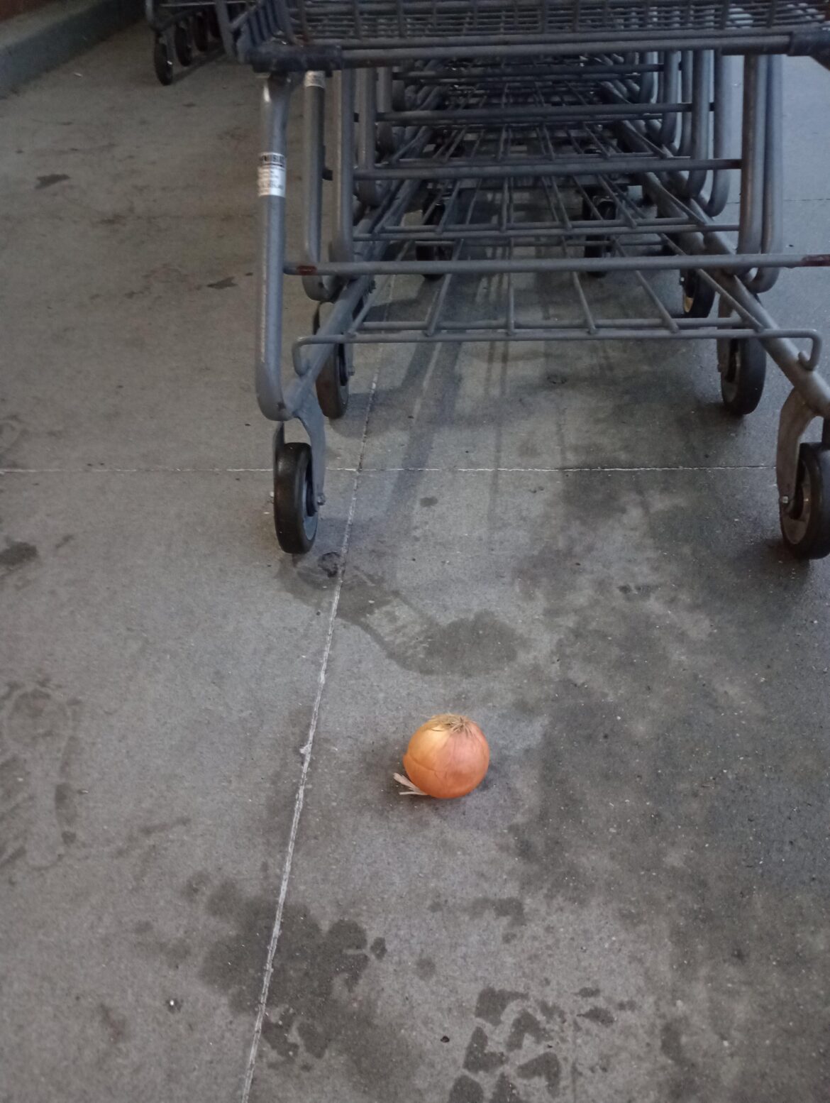 SCORE!!! A free onion for me outside of Aldi!!!