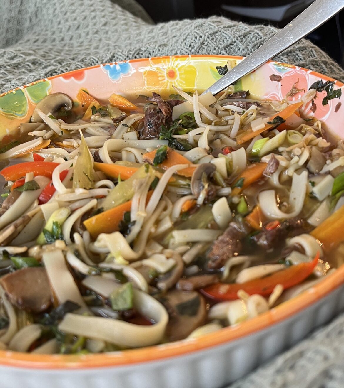 Cooking with canning: lazy man’s pho