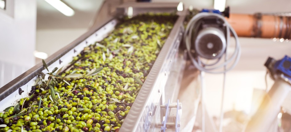 Beyond food – how the food sector in Italy offers multiple opportunities Beyond food – how the food sector in Italy offers multiple opportunities