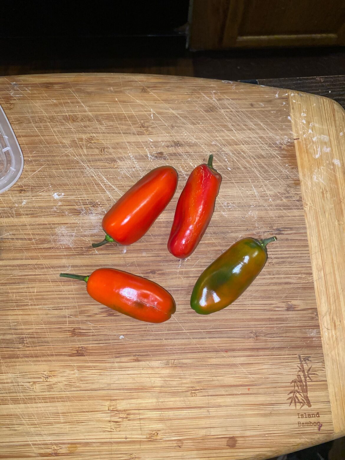 What are these guys?