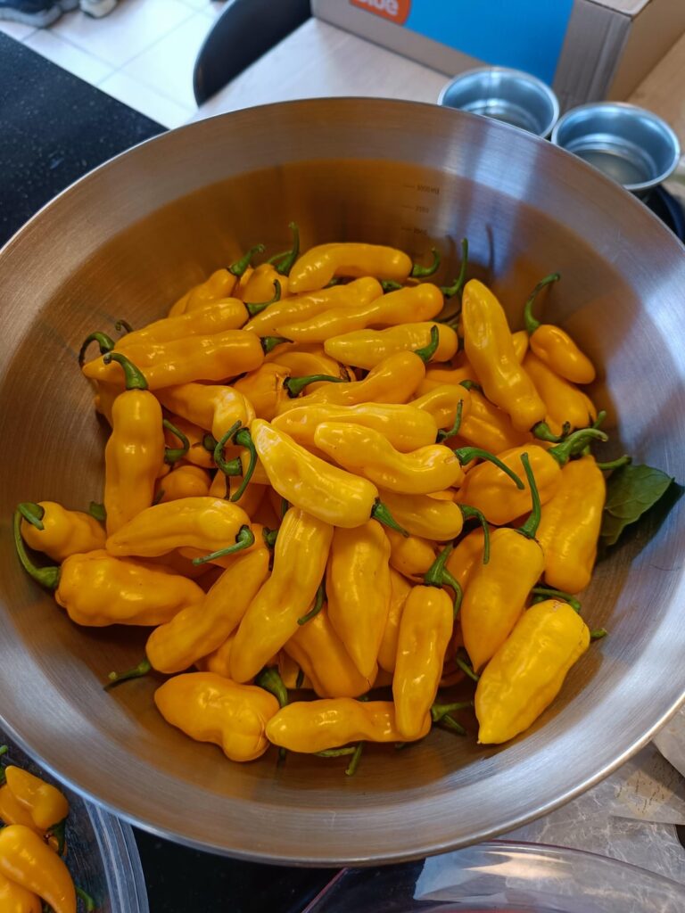 Madame Jeanette and Mango hot sauce.