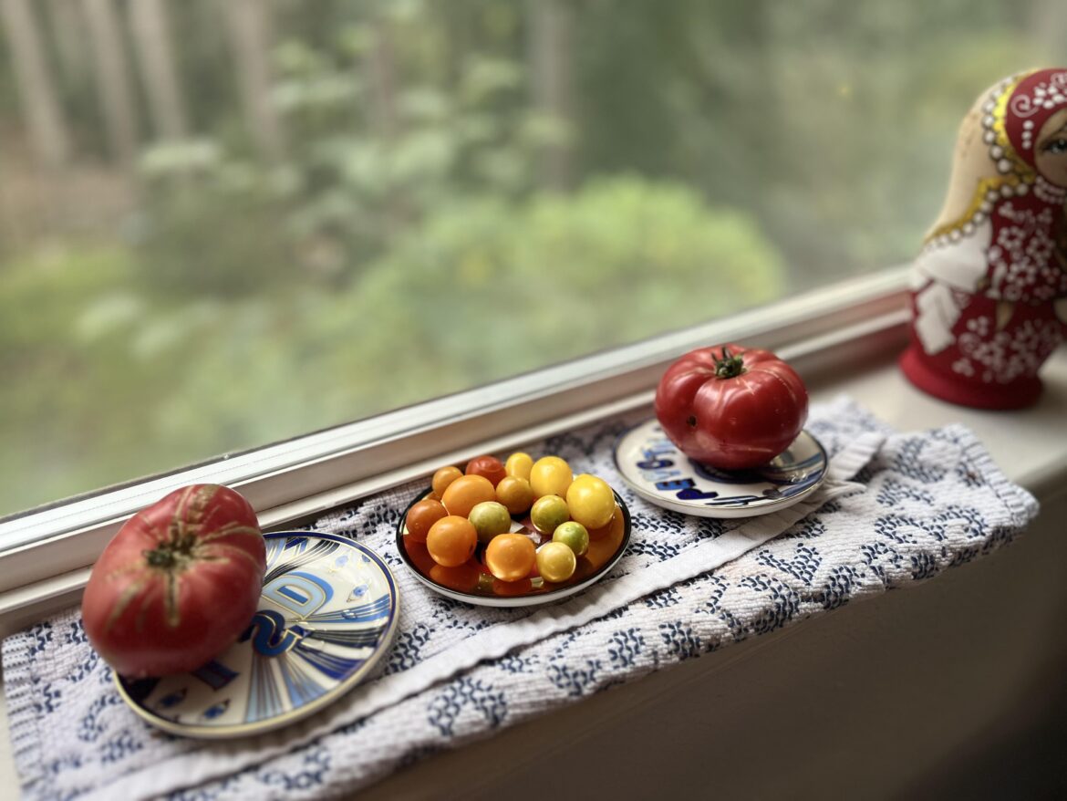 Last round of the season - what was your favorite this year?