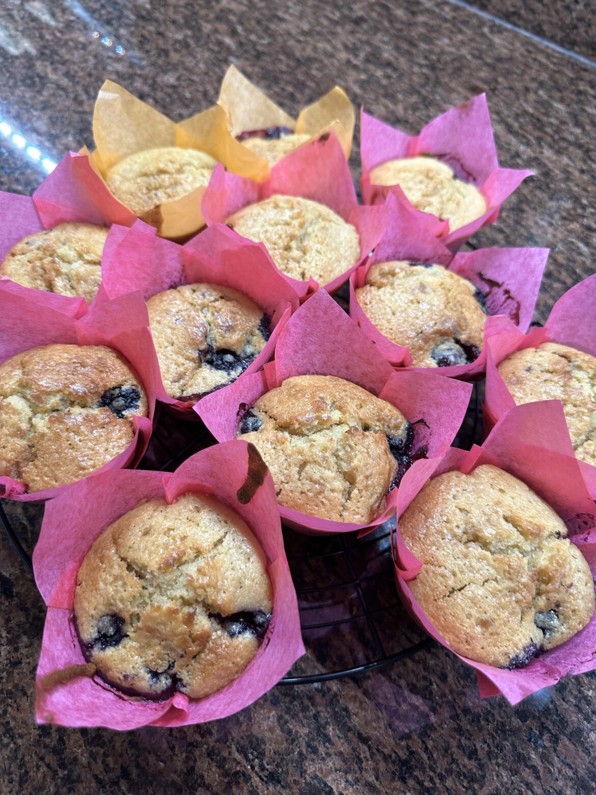 I made some blueberry muffins for breakfast today 😋