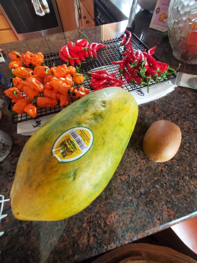 First Fruited Ferment