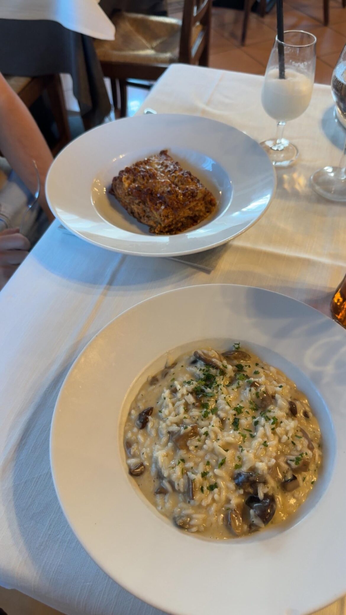 Risotto Funghi and Lasagna