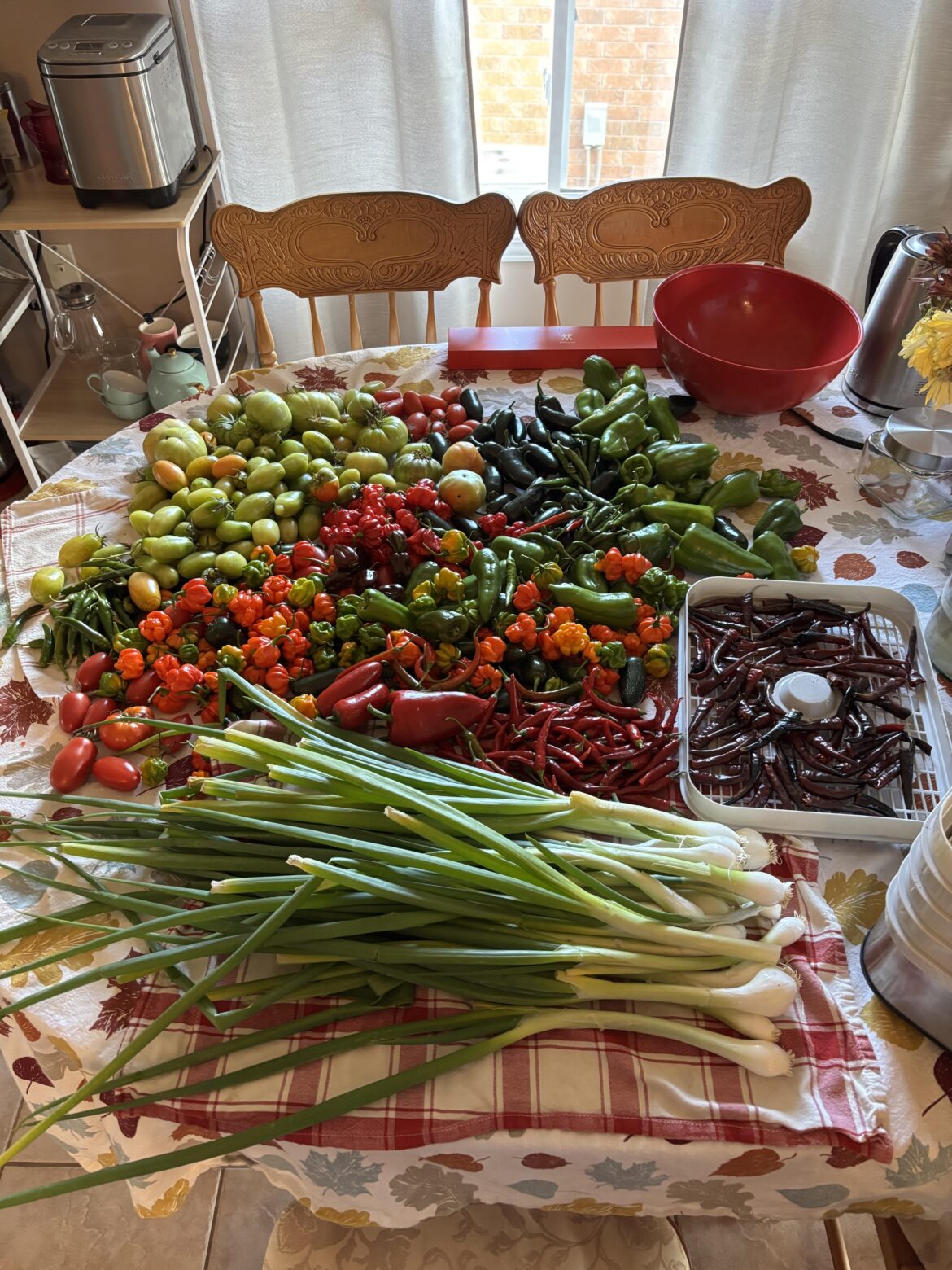 Frost-forced harvest