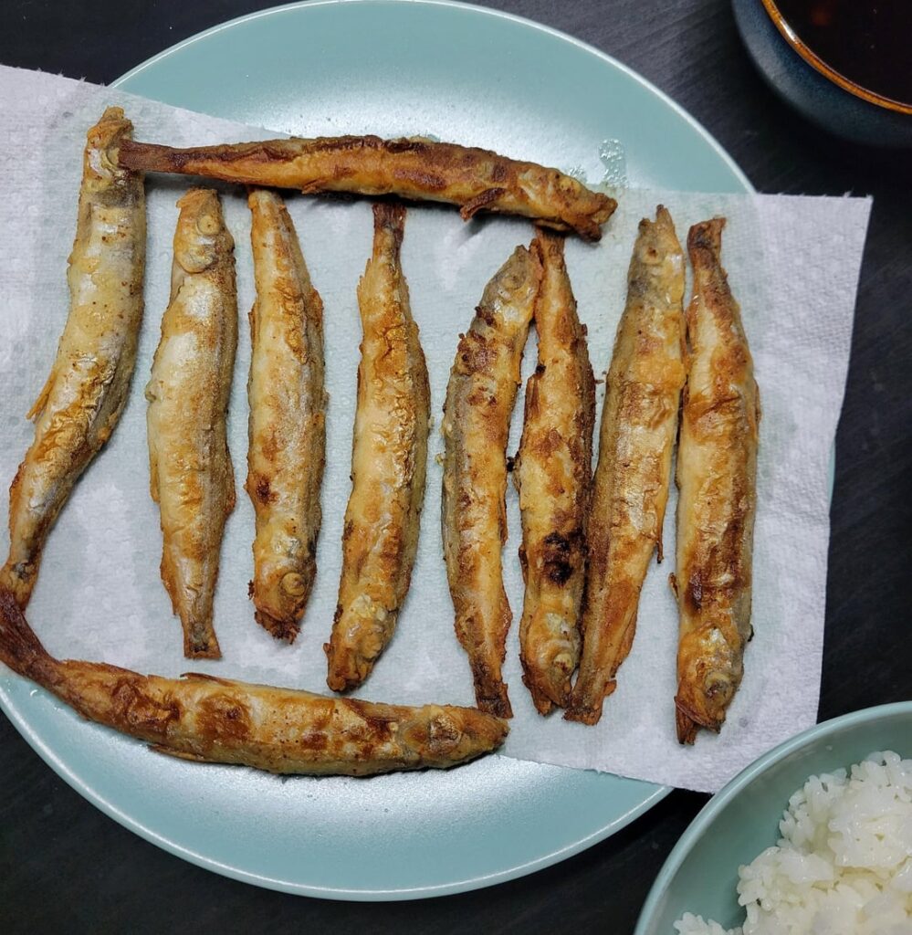 Lightly fried capelin full of roe with hot fresh rice for a perfect quick fall dinner - 열빙어/시사모
