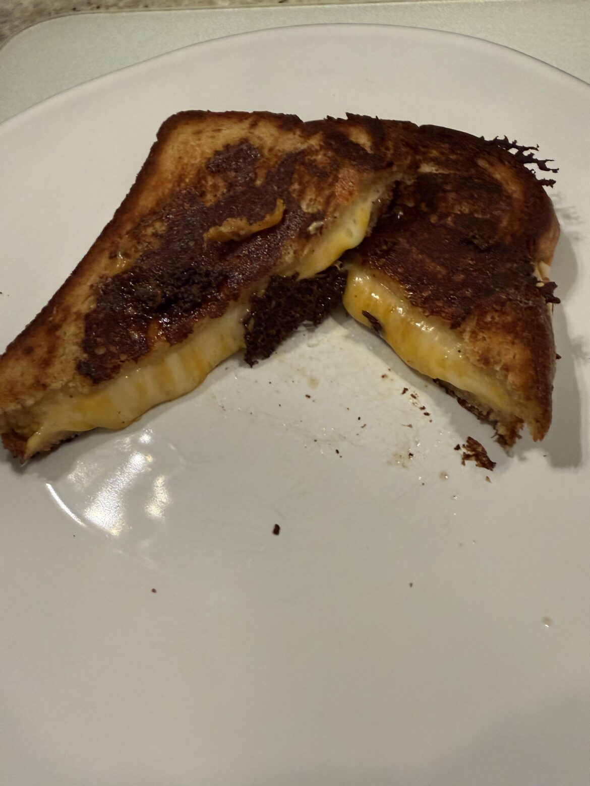 A spontaneous Sandwich!