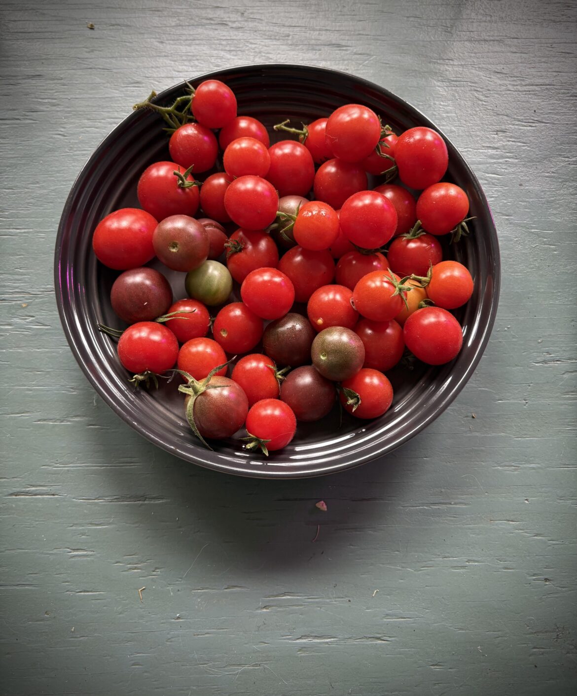 Tomato plants are not showing any signs of slowing down!