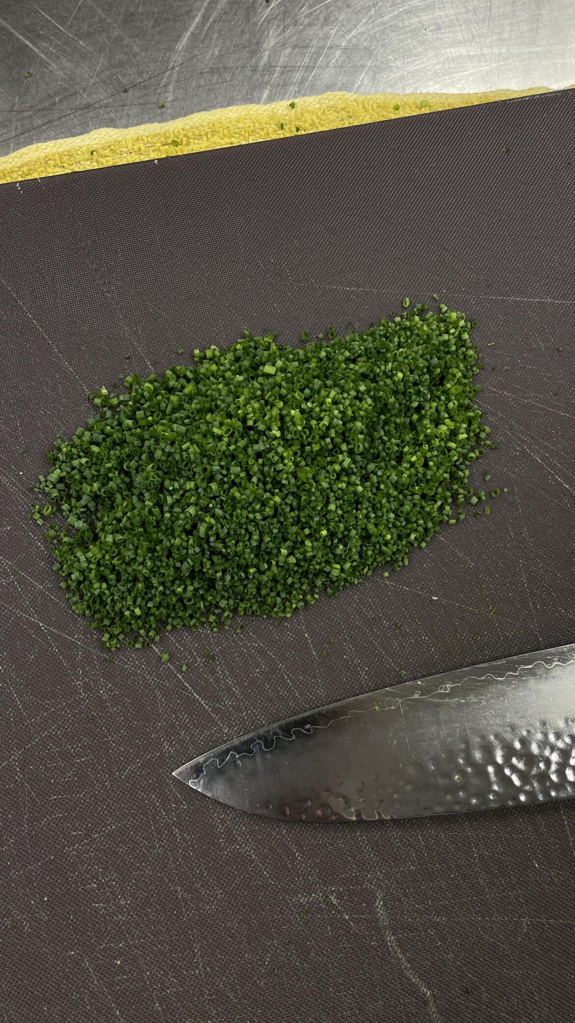 Cutting a cup of chives every day until this Reddit says they’re perfect. Day 7