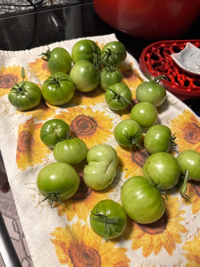 First frost tonight… First frost tonight…