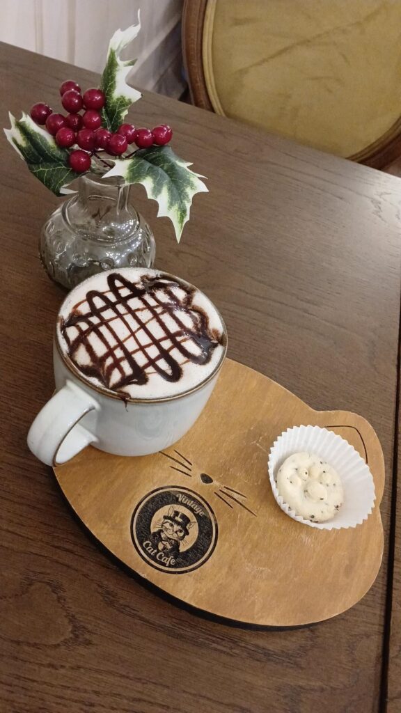 Food n Furry Friends - Vintage Cat Cafe one of the best spots in the city