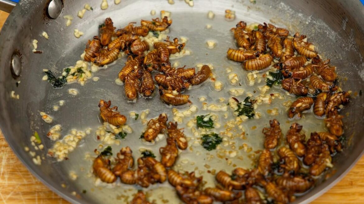 Another new mexico/southern colorado treat