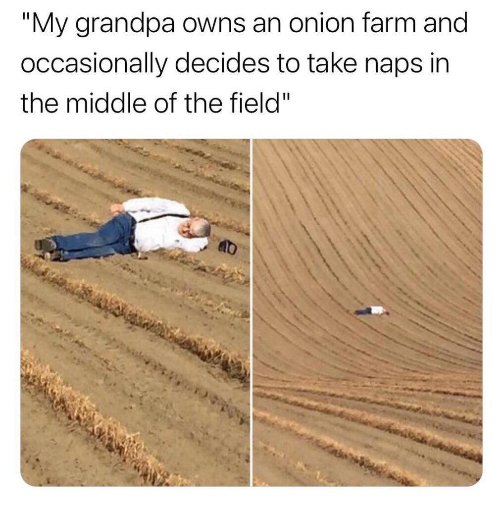 Thought this was fitting for this subreddit