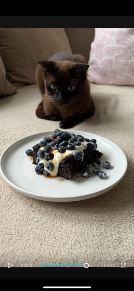 Boo’s Brownies with diff toppings 🤤