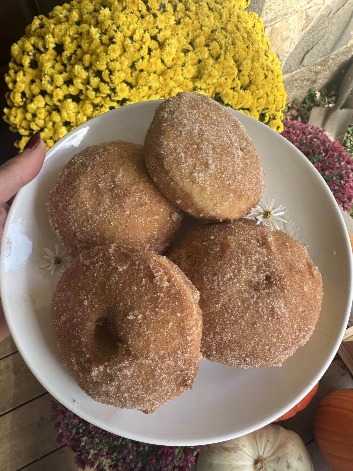 My daughters 1st cider donut