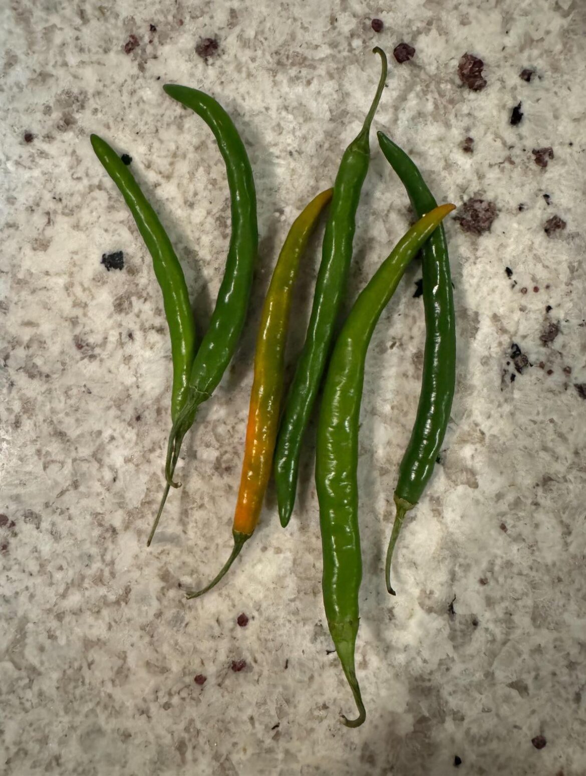 What kind of peppers are these? They were described as hatch chiles