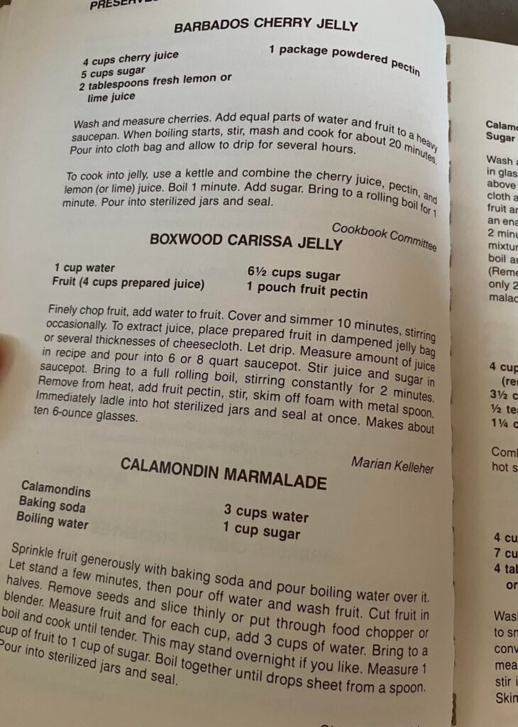 Florida Flavors highlights pt. 5