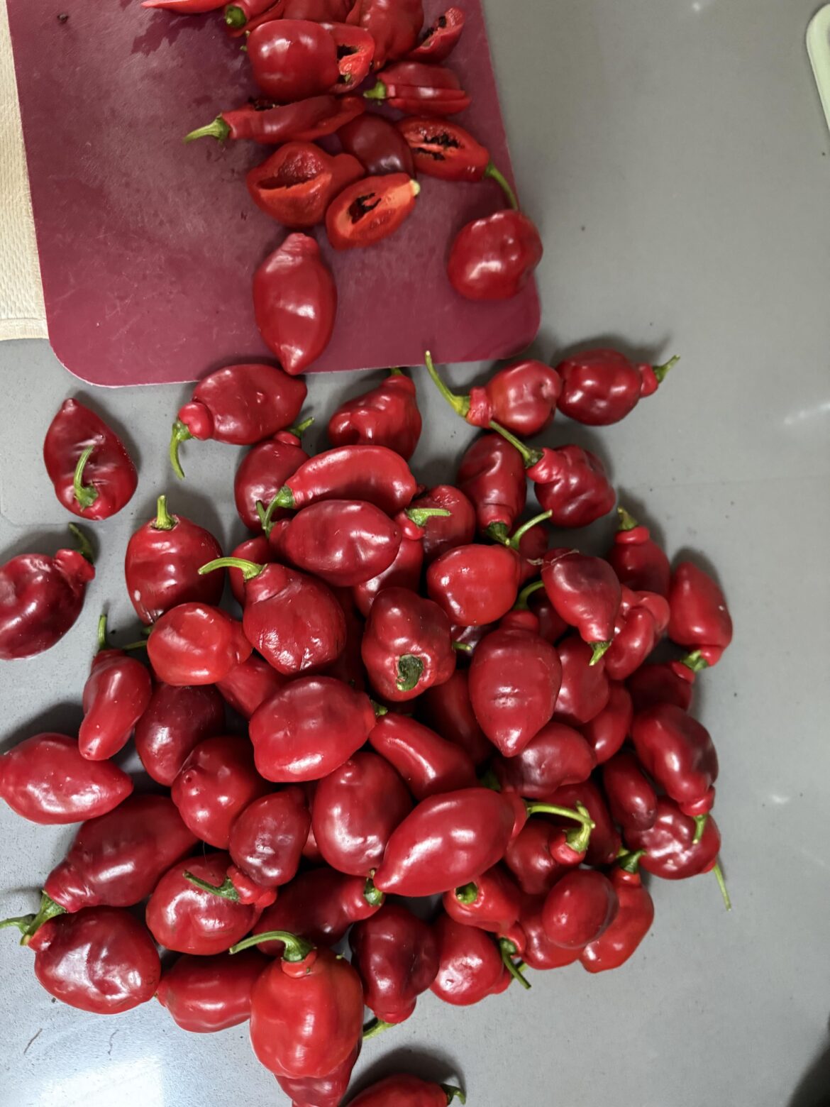 Plz help me identify these spicy-ass peppers!