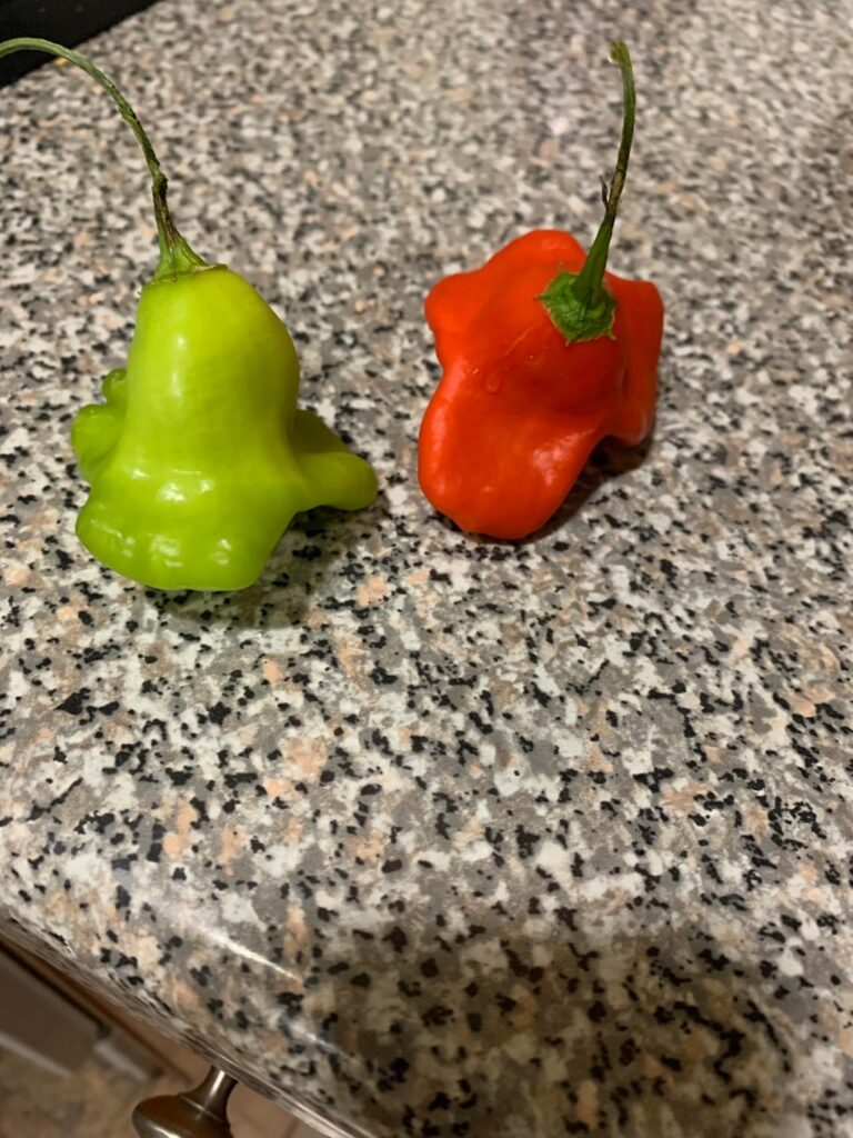 Can someone tell me what kind of peppers these are?