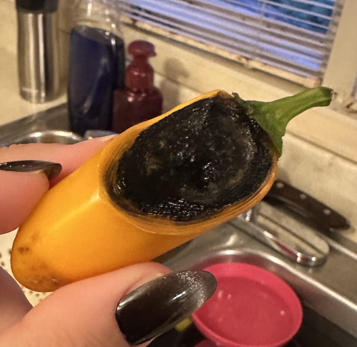 What happened to my peppers?