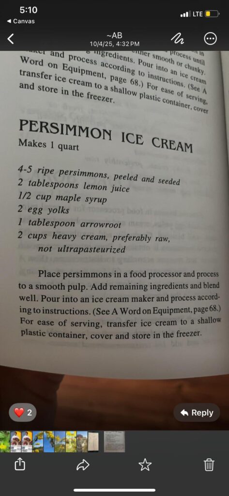 Persimmon Ice Cream