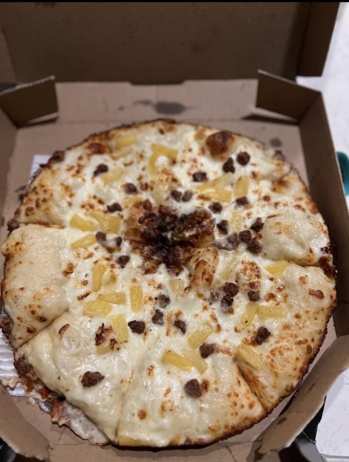 Local Domino’s review. Alfredo sauce base, ground beef, pineapple. Looks like an unwiped butthole.