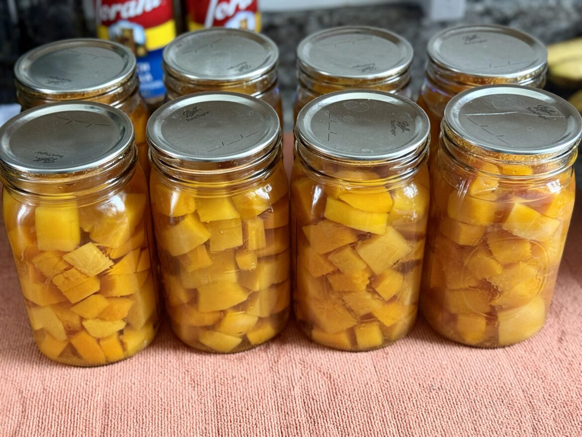 Hidden veggies win!!