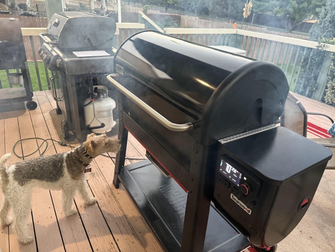 New (used) Searwood, doggo approved!