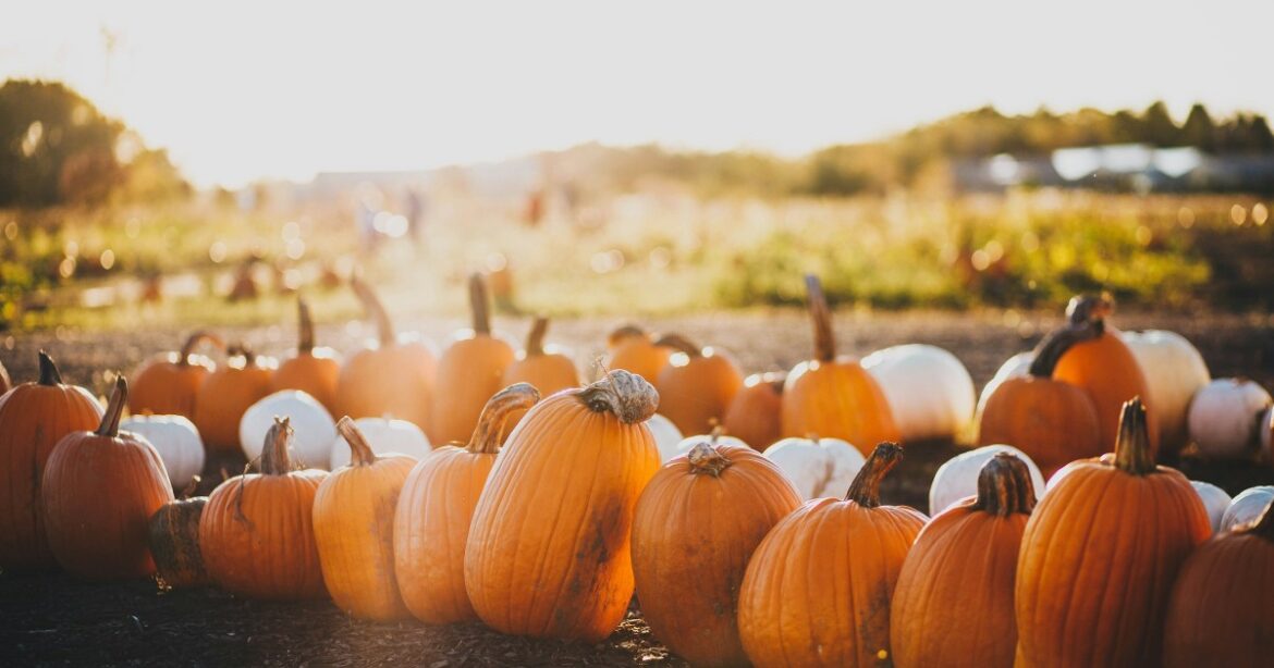 Is Halloween celebrated in Italy? customs, top places and family tips — idealista/news Is Halloween celebrated in Italy? customs, top places and family tips — idealista/news