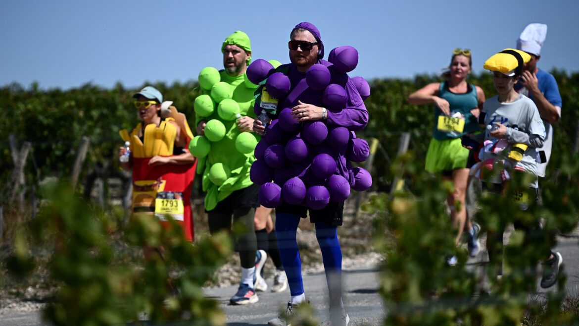 26 Miles, 23 Wines, Could You? Marathon du Médoc in France wine tasting marathon race
