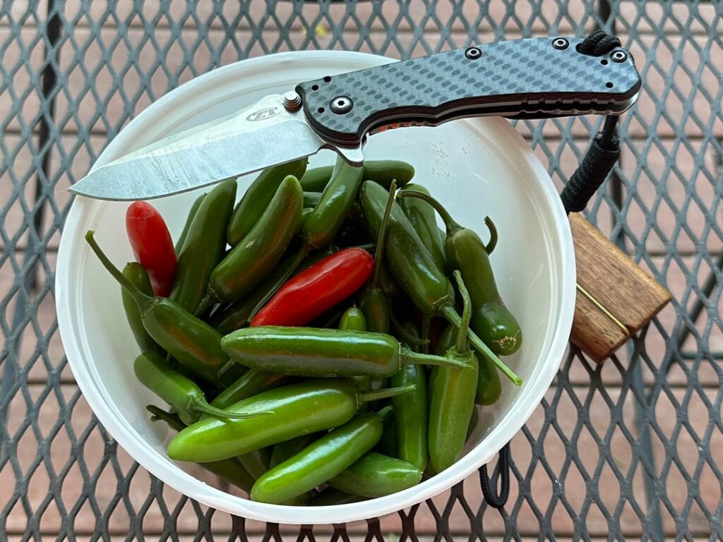 i have collected this many serranos. what should i do with them?