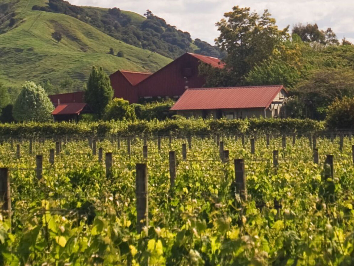 The Shout Magazine (New Zealand)