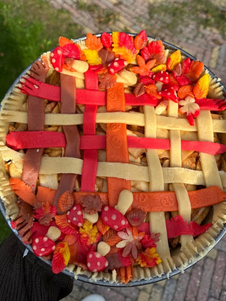 fall themed apple pie 🤎🍂