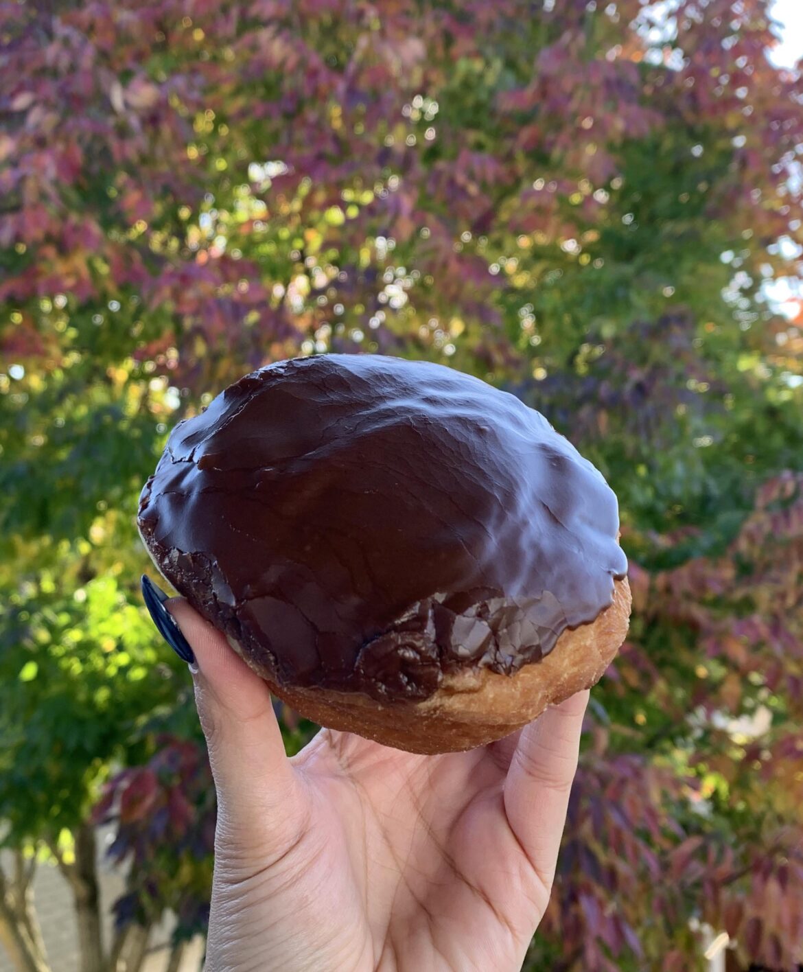 Dat Donut, Lakeview Wellington Stop