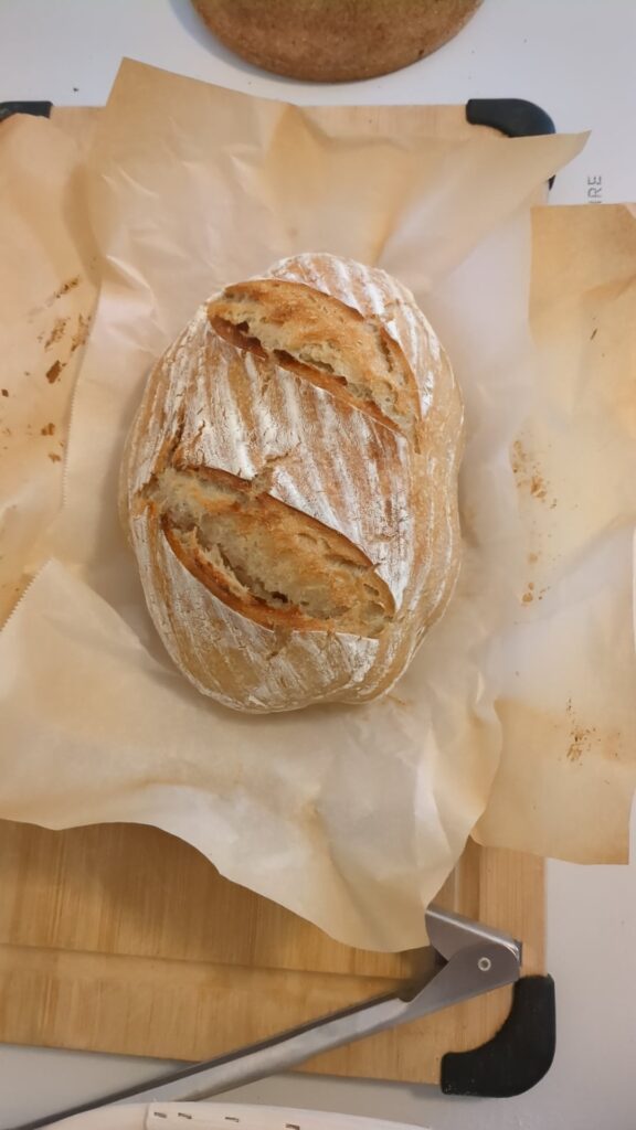 RIP to my sourdough starter 2024-2025