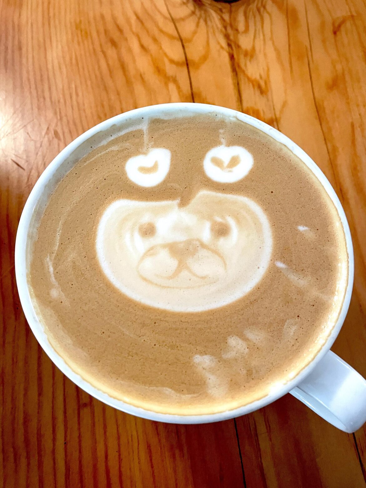 Only in Tahoe 🫶🏔️🐻