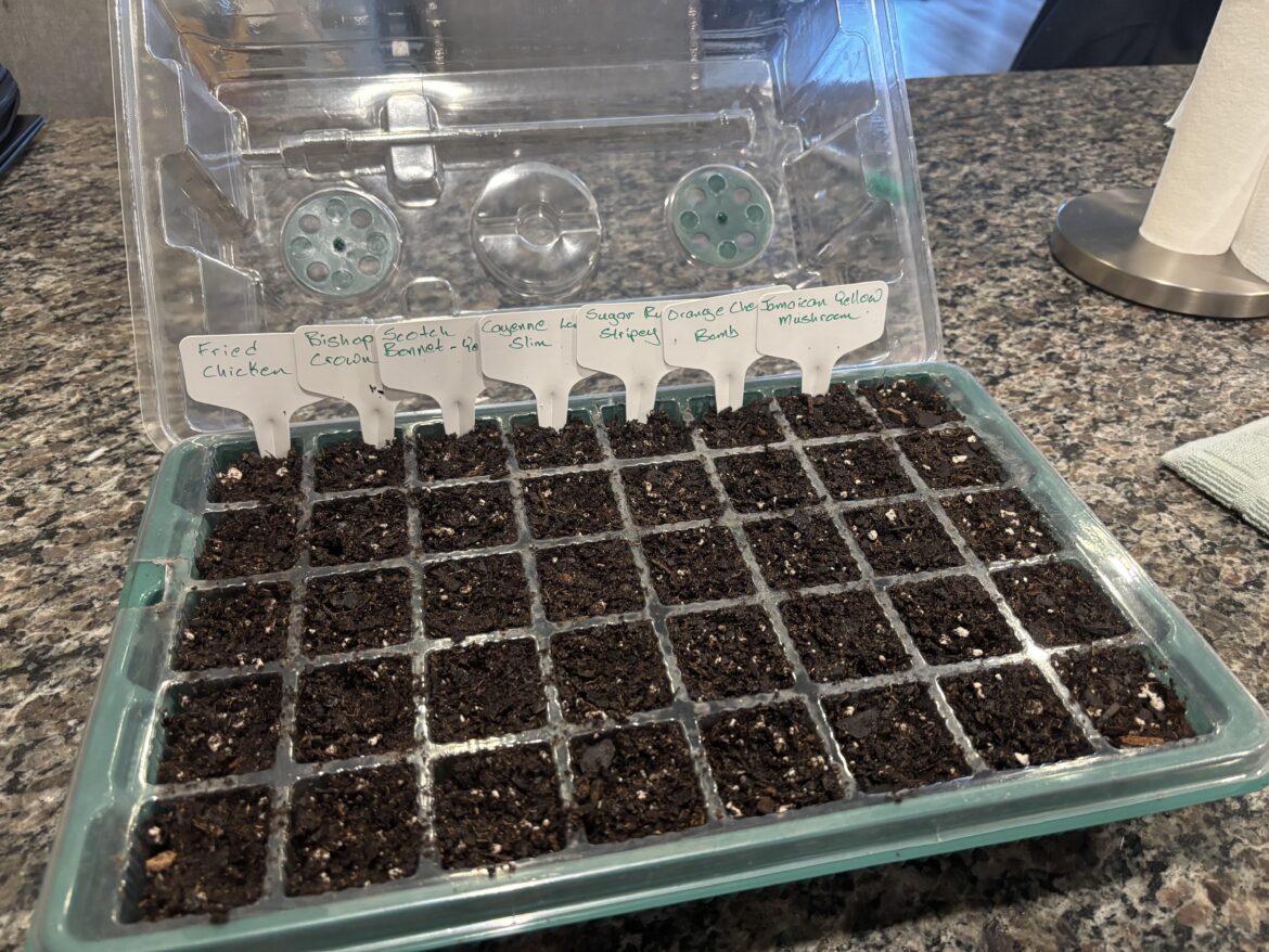 It’s that time again!