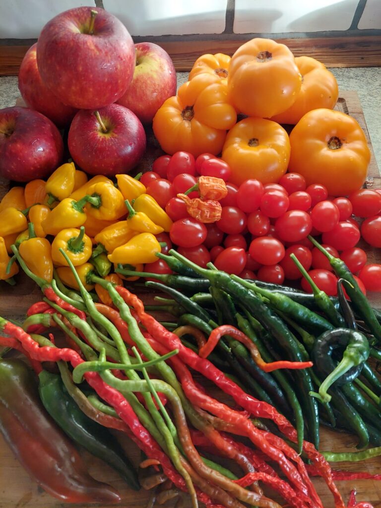 Had a great harvest this year!