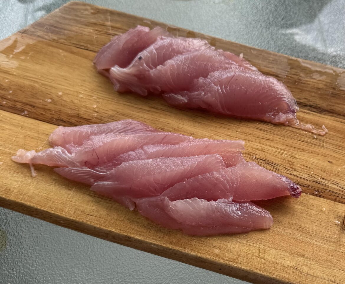 Blackfin tuna sliced up about an hour after we caught it. Never sliced it to eat like this before so apologies for the sloppy work