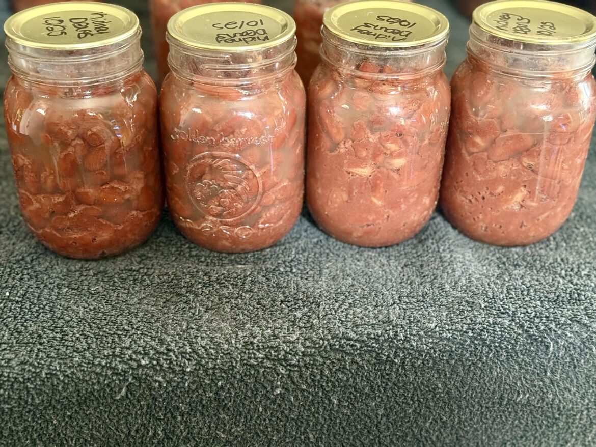 Kidney beans turned out slightly wonky?