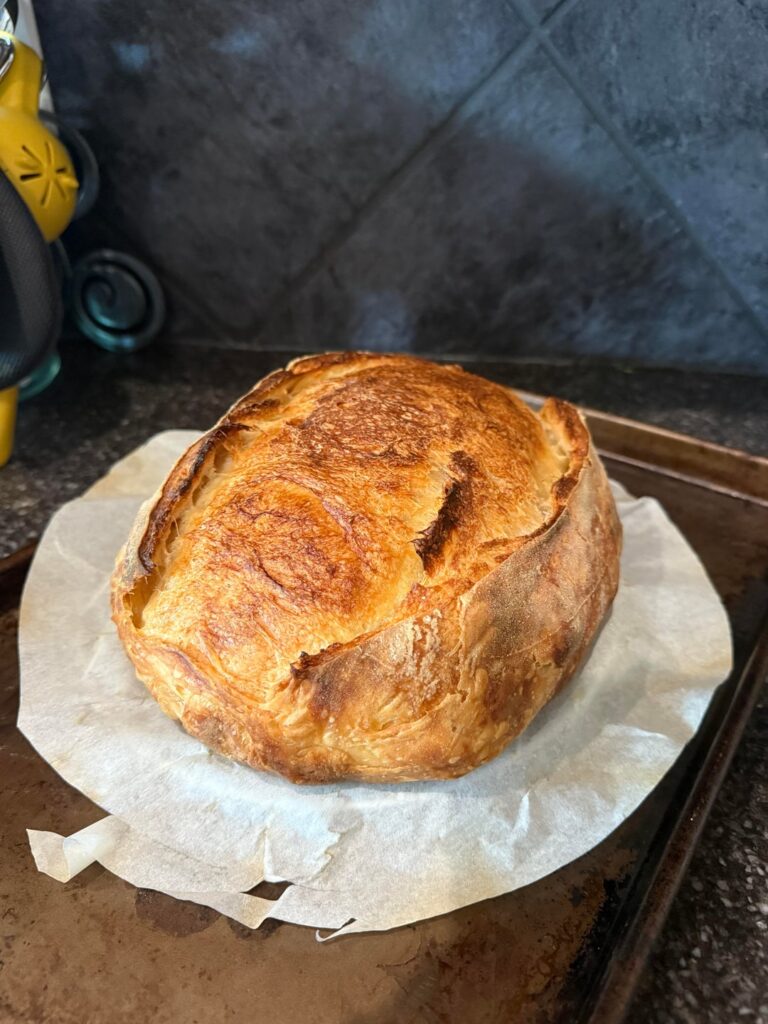 Croissant Sourdough, why did I learn how to make thee??