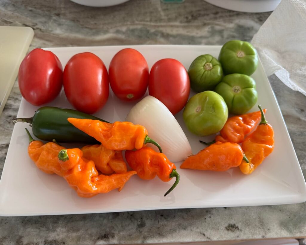 First Homemade Salsa First Homemade Salsa